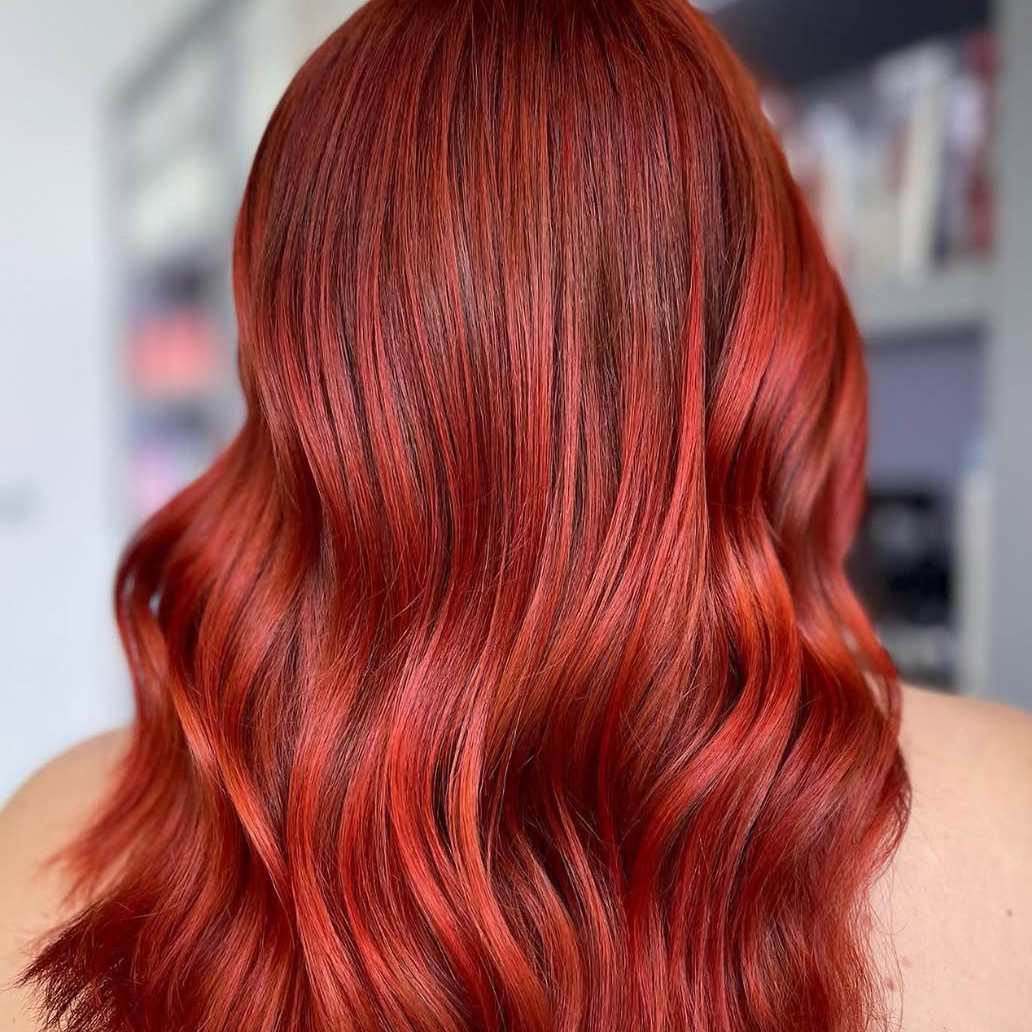 Full Colour Refresh | Tara Rose Salon