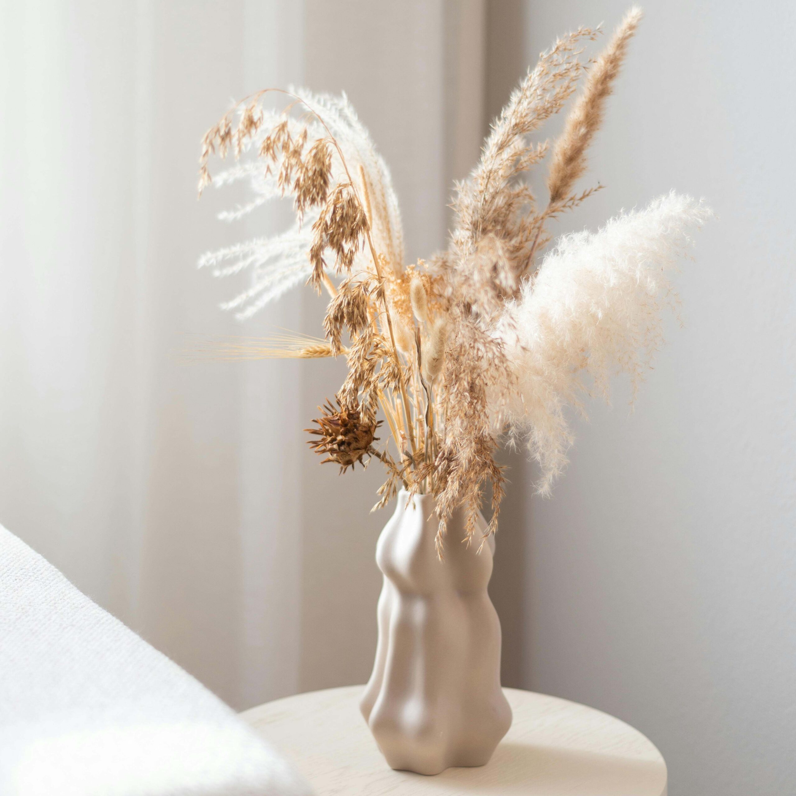 Why Your Environment Matters More Than You Think | Tara Rose Salon