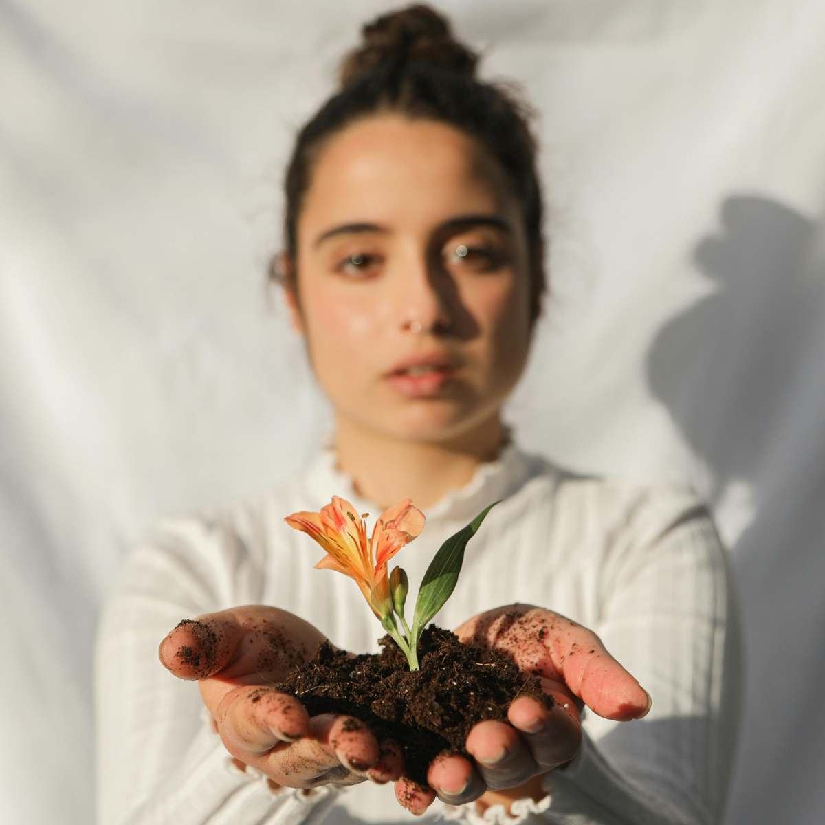 Why Financial Wellness Matters | Tara Rose Salon